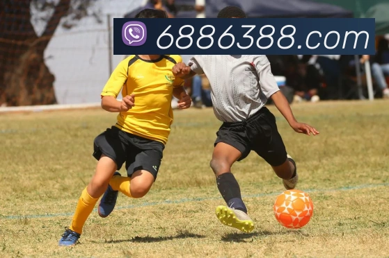 6686APP 体育赛事宣传图